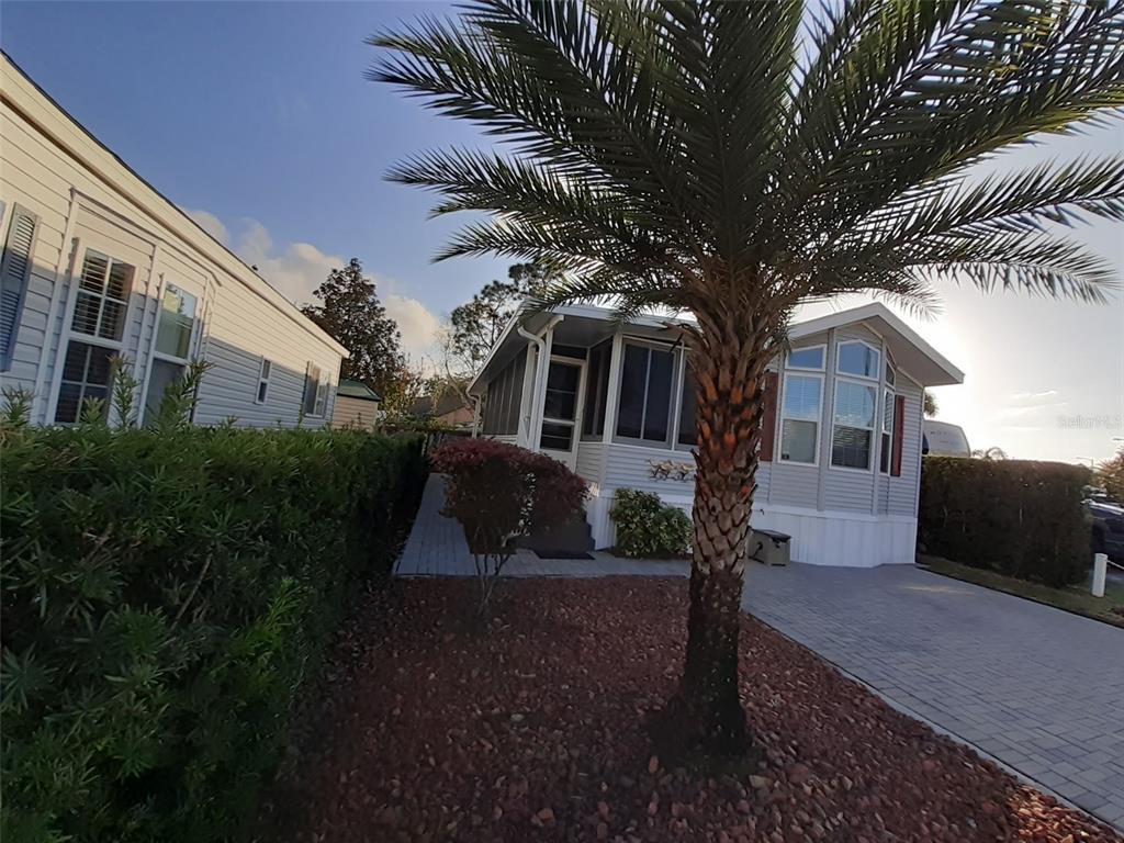 A palm tree stands in front of a light-colored manufactured home with a paved driveway — 2330 LIMEWOOD AVENUE UNIT 051, CLERMONT, FL