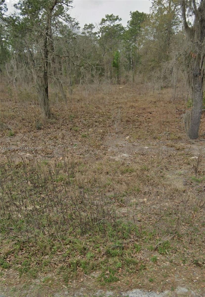 UNDETERMINED SW 130th Ave, Other City - In The State Of Florida FL 34432