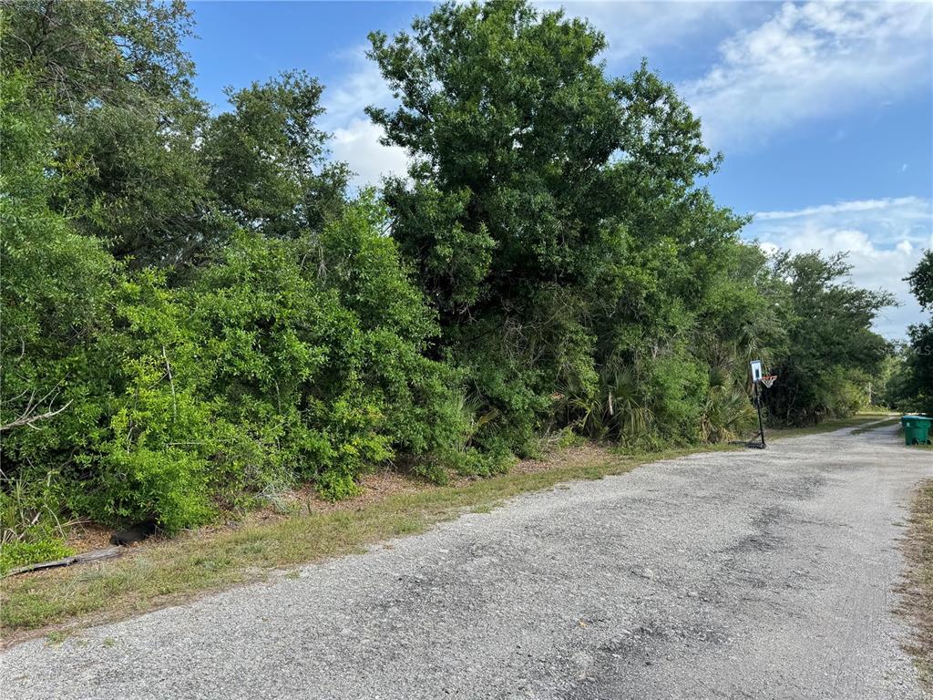 A gravel road runs alongside a dense, wooded area with a basketball hoop — 13252 PINE RUN TERRACE, PUNTA GORDA, FL