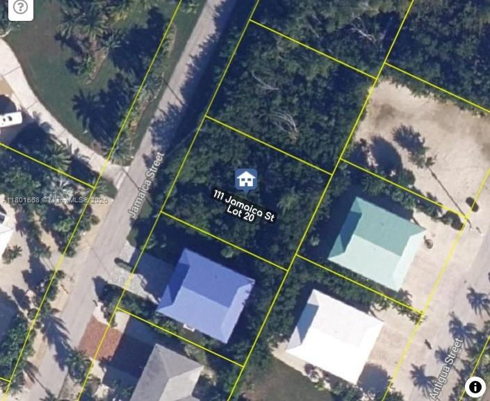 An aerial view shows a vacant, wooded residential lot outlined in yellow between two streets — 111 Jamaica St, Duck FL 33050, DUCK, FL