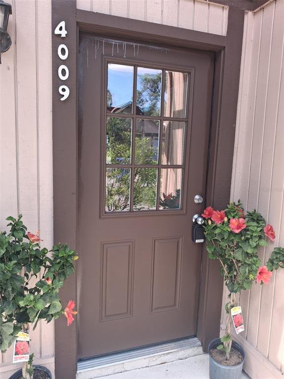 A brown front door with a nine-pane window is flanked by two potted hibiscus plants — 4009 MURIEL PLACE, TAMPA, FL