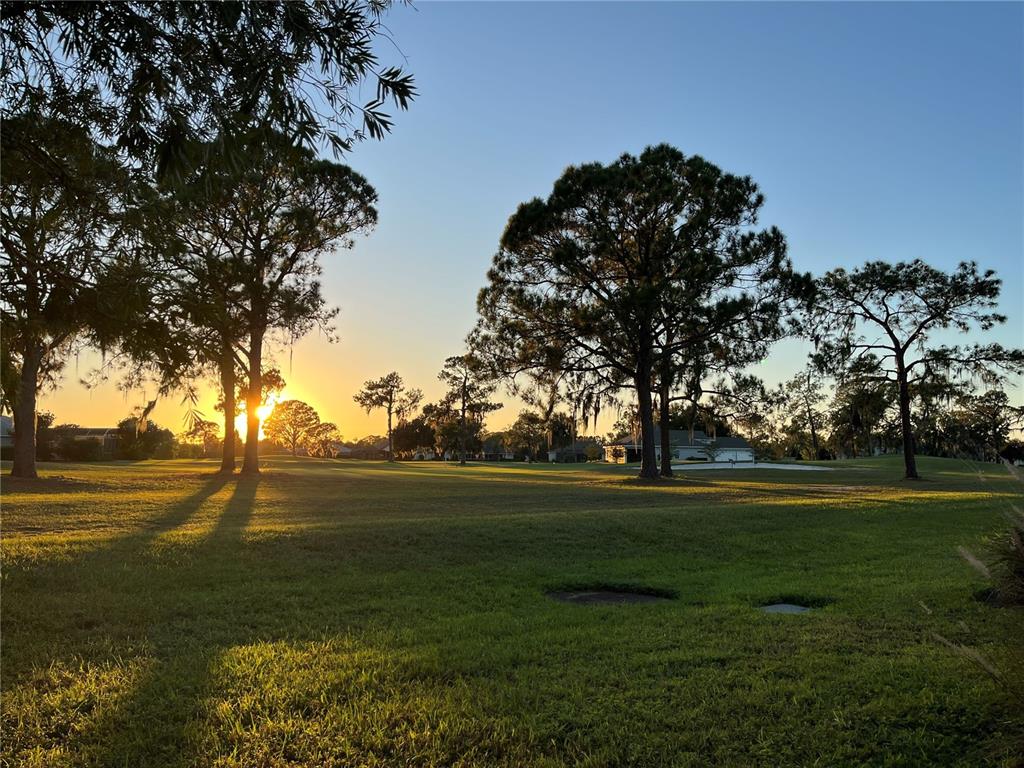A grassy golf course landscape features mature pine trees silhouetted against a bright sunset — 2270 FIRESTONE PLACE, WINTER HAVEN, FL