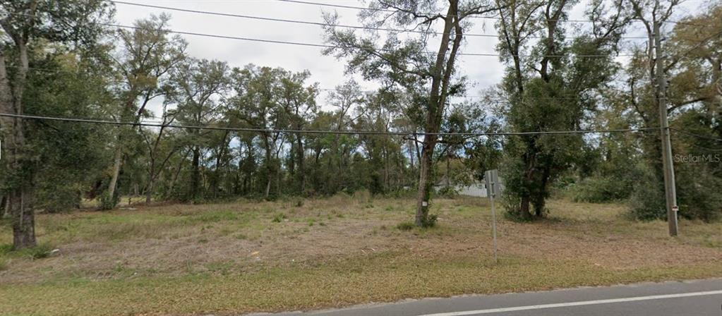 A vacant, grassy lot with scattered trees is bordered by a road and utility lines — TBD SORRENTO AVENUE, SORRENTO, FL