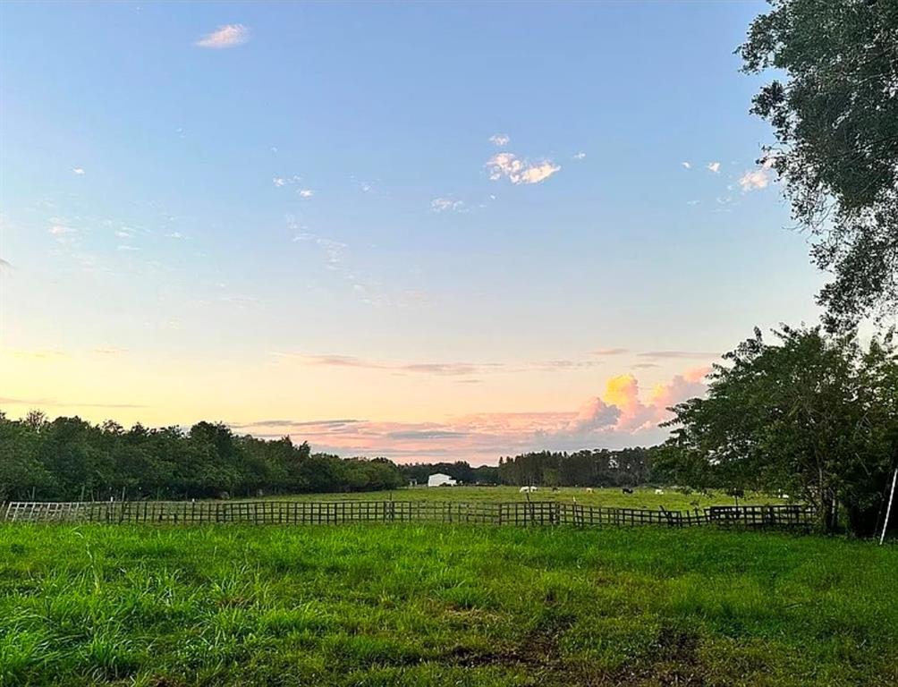 A grassy pasture with a wooden fence under a sunset sky with scattered clouds — 11710 MEADOWDALE DRIVE, TAMPA, FL
