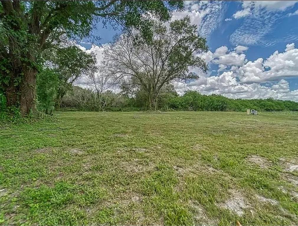 A grassy, open lot features several large trees under a blue sky with white clouds — 11710 MEADOWDALE DRIVE, TAMPA, FL