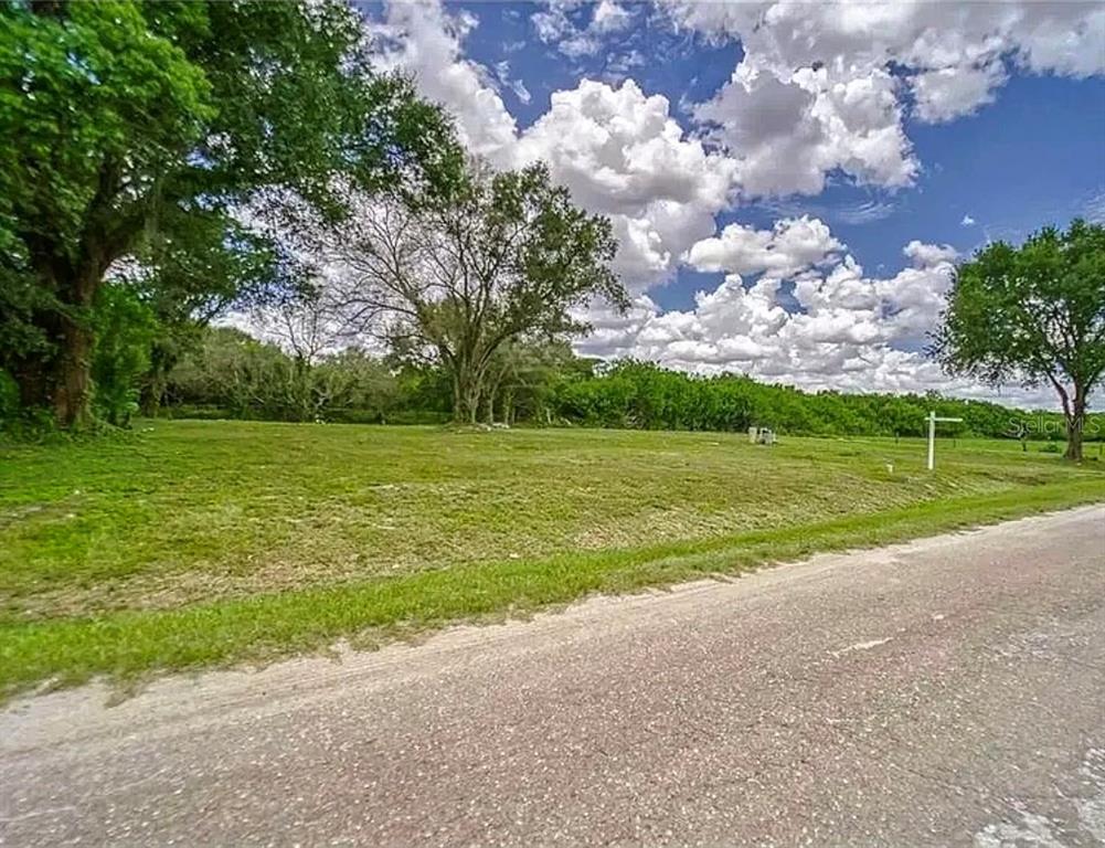 A vacant, grassy lot with several large trees sits beside a paved road — 11710 MEADOWDALE DRIVE, TAMPA, FL