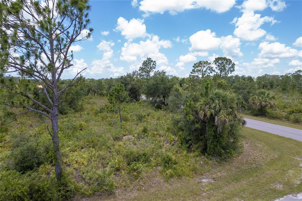 An elevated view of a vacant, wooded lot next to a paved road — 218 GASTIN STREET, PORT CHARLOTTE, FL