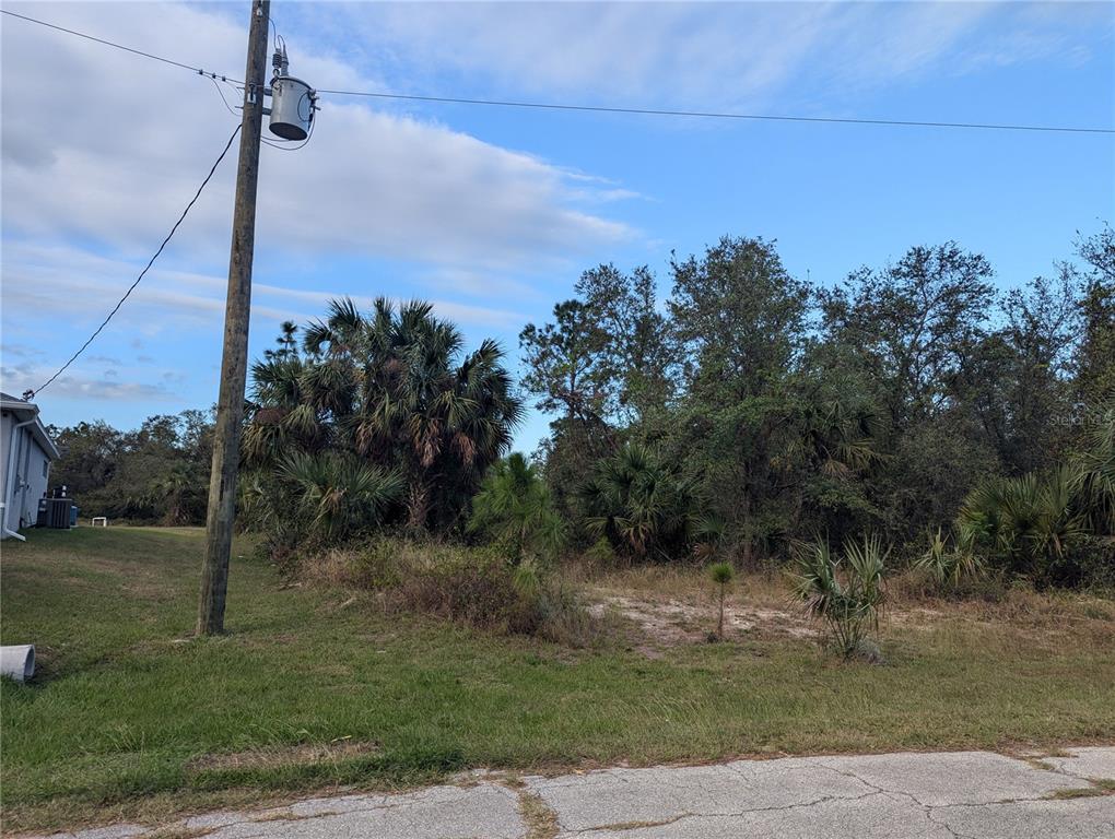A utility pole stands next to a vacant, wooded lot with a house corner visible — Lot 14 PENNY CIRCLE, NORTH PORT, FL