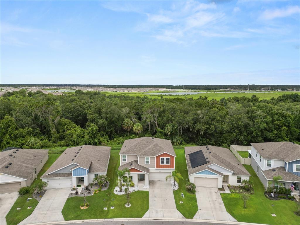 An aerial view shows a row of suburban houses backing onto a dense forest and wetlands — 5693 ARLINGTON RIVER DRIVE, LAKELAND, FL