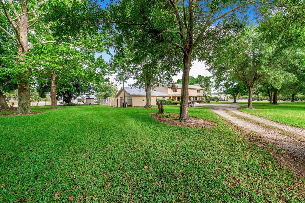 A large grassy yard with mature trees and a gravel driveway leading to a house — 1646 TYNER ROAD, HAINES CITY, FL