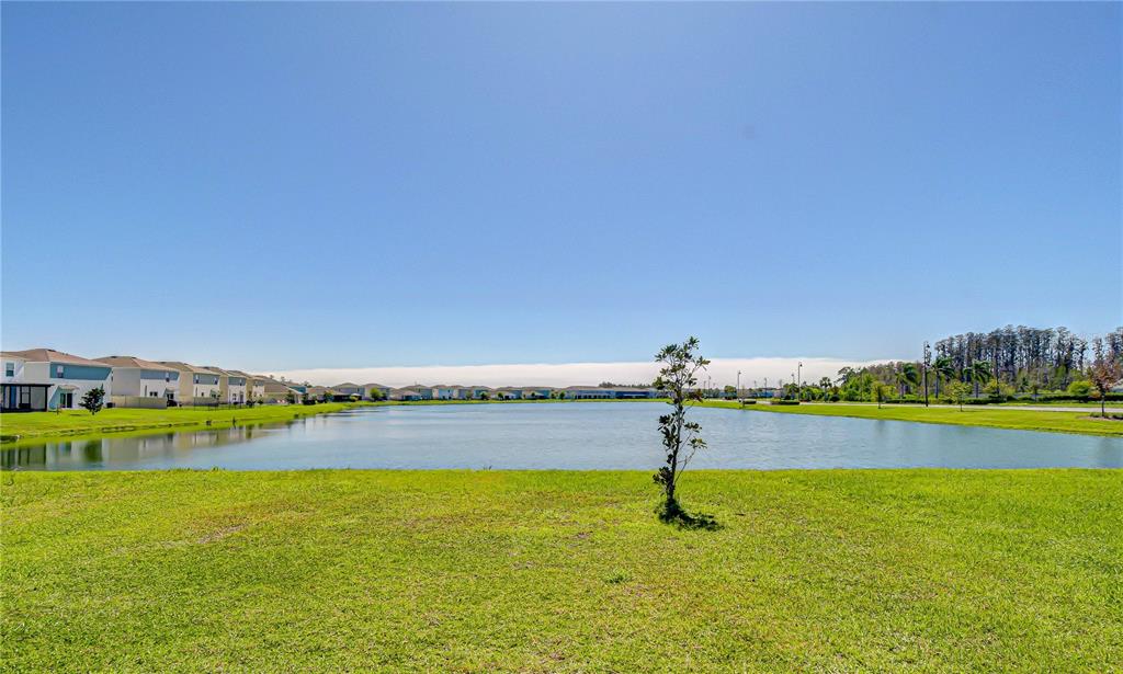 A grassy lawn overlooks a pond with a row of houses in the background — 15982 WEATHERED WINDMILL TERRACE, ODESSA, FL