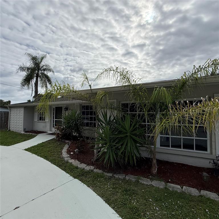 The exterior of a single-story house features a palm tree, landscaping, and a concrete driveway — 695 ALLIGATOR DRIVE, VENICE, FL