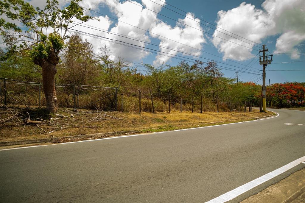 A paved road runs alongside a grassy lot enclosed by a wire fence and trees — PR 201 BO FLORIDA, VIEQUES, PR