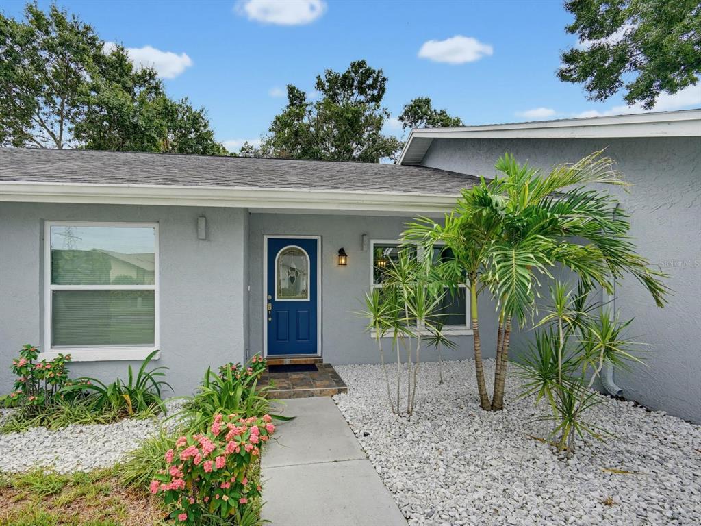A gray house exterior features a blue front door, a stone walkway, and white landscaping rocks — 2988 PINEWOOD RUN, PALM HARBOR, FL