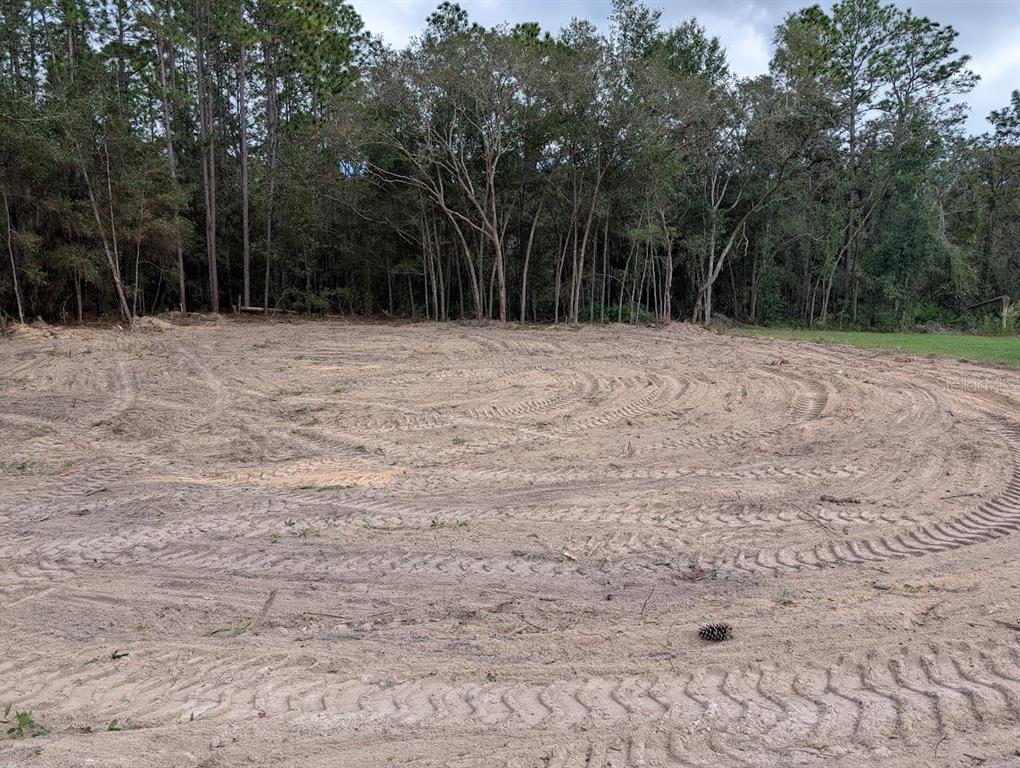 A cleared, sandy lot features tire tracks in the foreground and a dense forest background — Lot 9 SW 79TH TERRACE, OCALA, FL