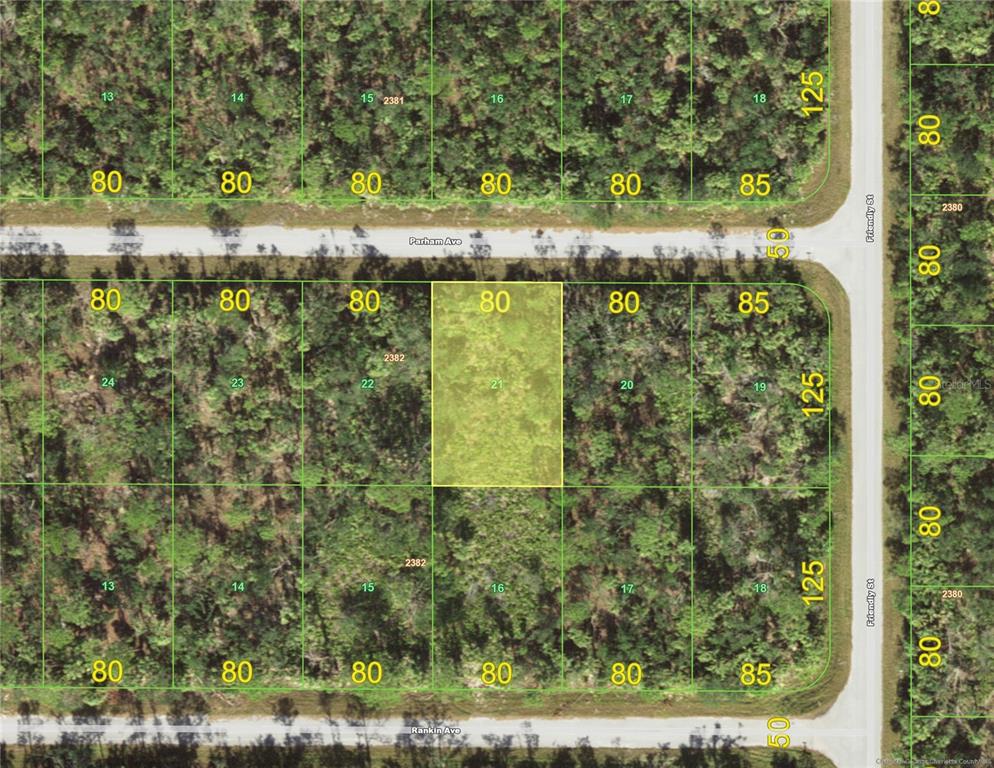 This is a map showing a highlighted rectangular land parcel among surrounding wooded lots — 13181 PARHAM AVENUE, PORT CHARLOTTE, FL