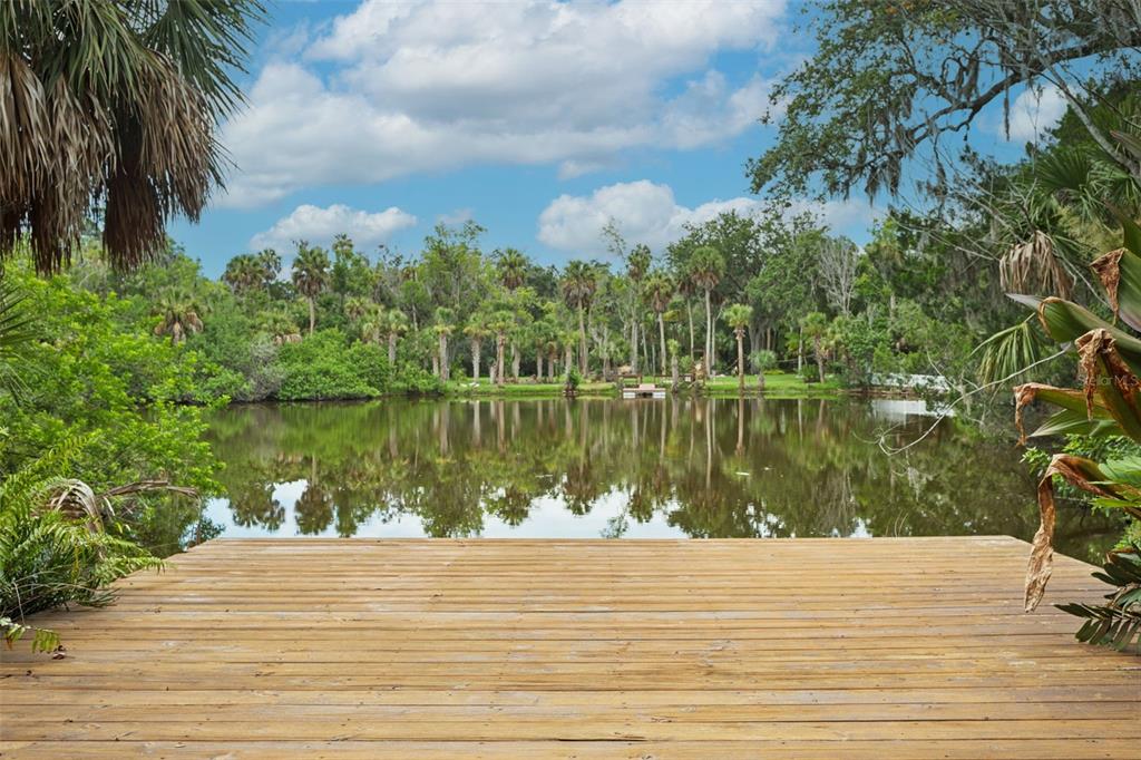 A wooden dock overlooks a calm pond surrounded by lush palm trees and dense vegetation — 4521 EDITH STREET, NEW PORT RICHEY, FL