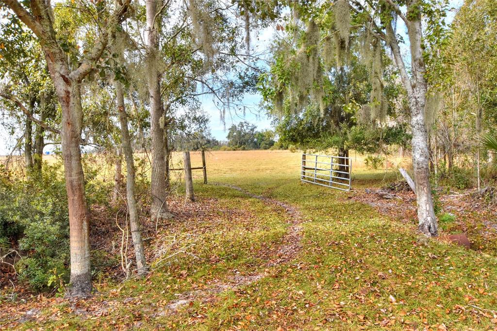 COLDING LOOP, WIMAUMA, FL — photo 2 of 3