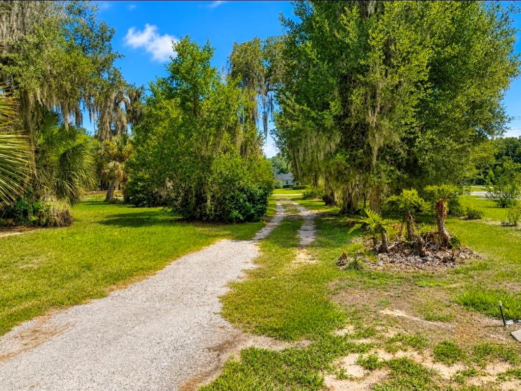 A gravel driveway leads through a grassy yard lined with trees and Spanish moss — 695 LYLE PARKWAY, BARTOW, FL