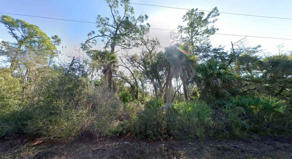 A wooded lot with tall pine trees, palm trees, and dense undergrowth under a bright sky — 2168 DORION STREET, PORT CHARLOTTE, FL