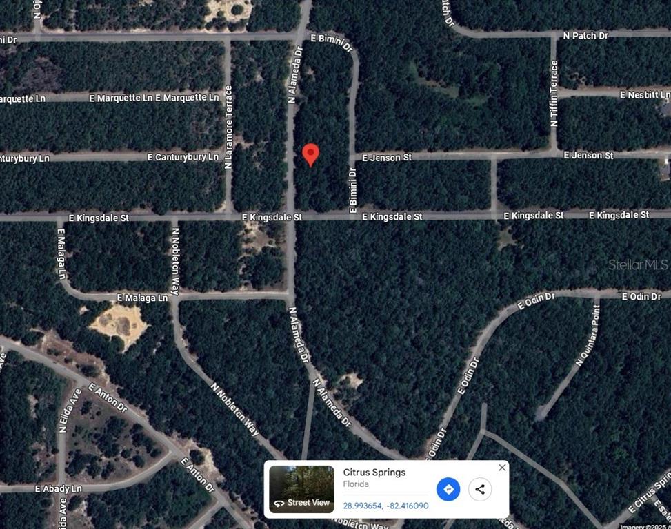 This is a satellite map view of a wooded residential area in Citrus Springs, Florida — 9085 N ALAMEDA DRIVE, CITRUS SPRINGS, FL
