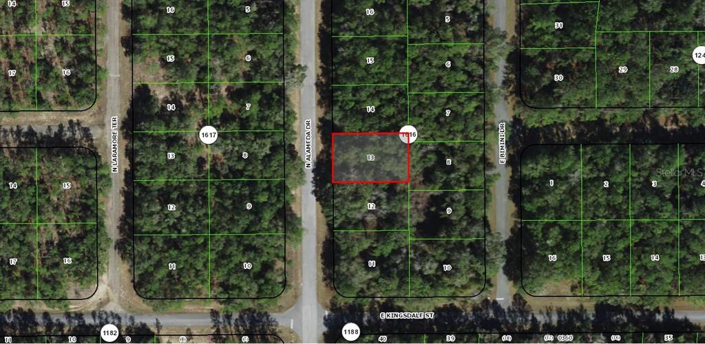 This is an aerial map showing a highlighted rectangular plot of land among wooded lots — 9085 N ALAMEDA DRIVE, CITRUS SPRINGS, FL