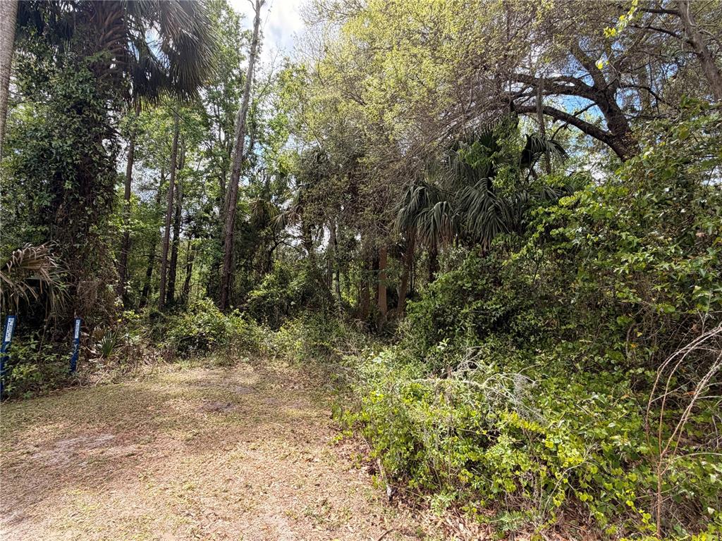 COUNTY ROAD 445A, ASTOR, FL — photo 2 of 8