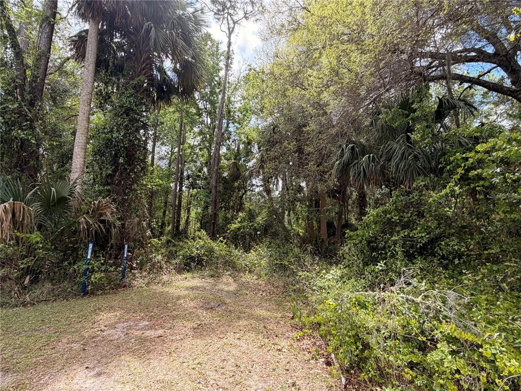 COUNTY ROAD 445A, ASTOR, FL — photo 3 of 8