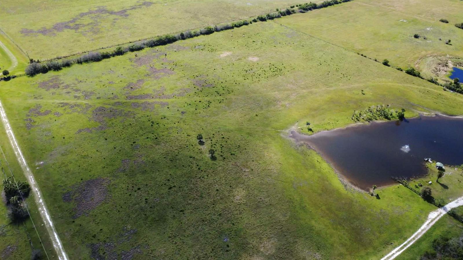 An aerial view shows a large, grassy pasture with a pond and dirt access roads — 8121 NW 58th Lane, Okeechobee FL 34972, OKEECHOBEE, FL