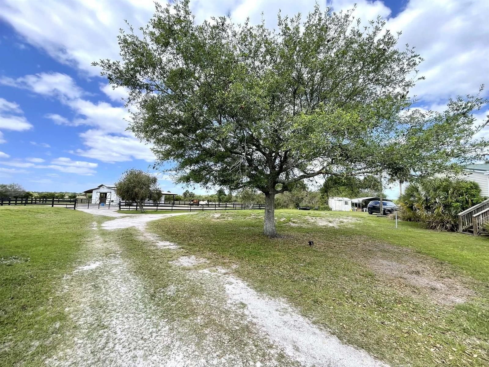 A large tree stands in a grassy yard with a dirt driveway and white barn — 8121 NW 58th Lane, Okeechobee FL 34972, OKEECHOBEE, FL
