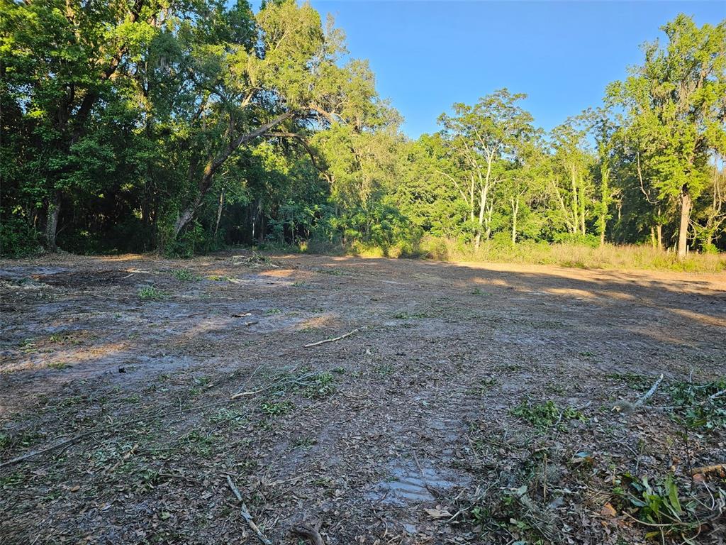 A cleared, flat dirt lot is surrounded by dense trees under a clear blue sky — 359 SAVANNAH OAKS DRIVE, BROOKSVILLE, FL