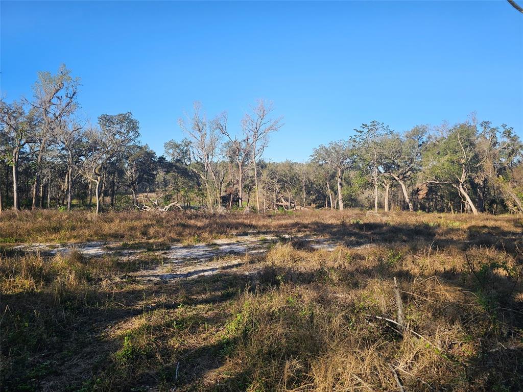 A wide, sunny, grassy field stretches toward a line of trees under a clear sky — 359 SAVANNAH OAKS DRIVE, BROOKSVILLE, FL