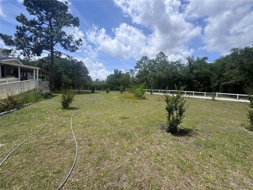 A grassy backyard features a white fence, scattered small trees, and a house with a deck — 21170 SE 67TH PLACE, MORRISTON, FL