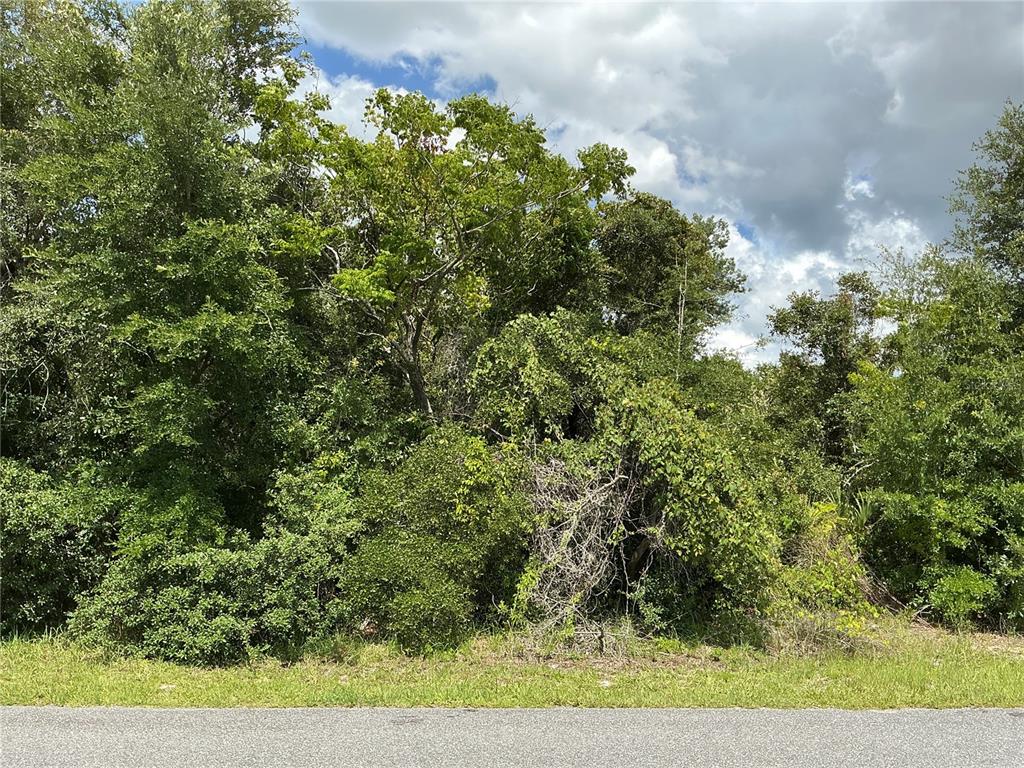 MARION OAKS DRIVE