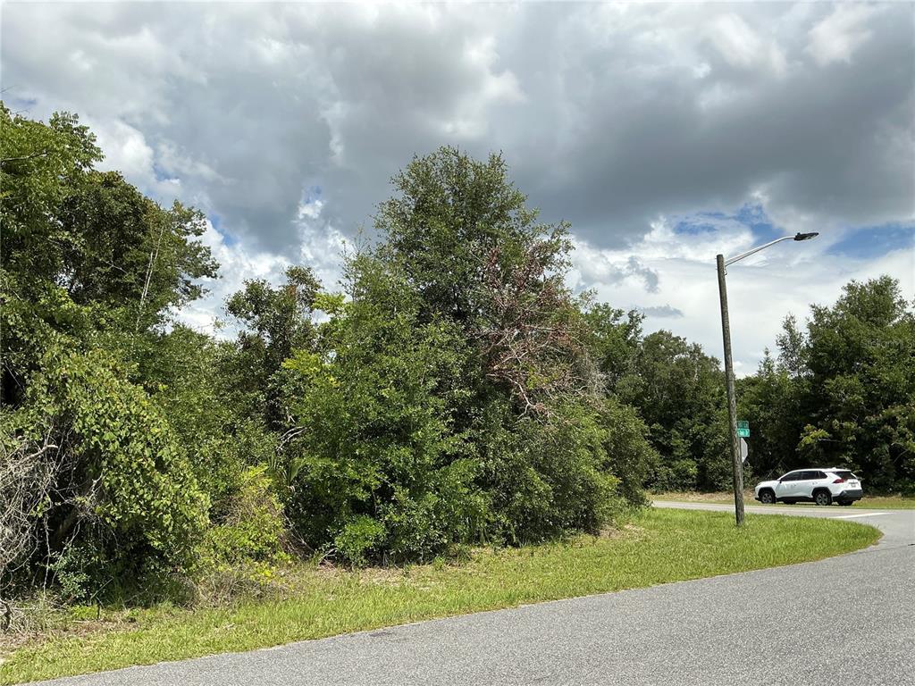 A vacant, wooded corner lot sits beside a paved road under a cloudy sky — MARION OAKS DRIVE, OCALA, FL