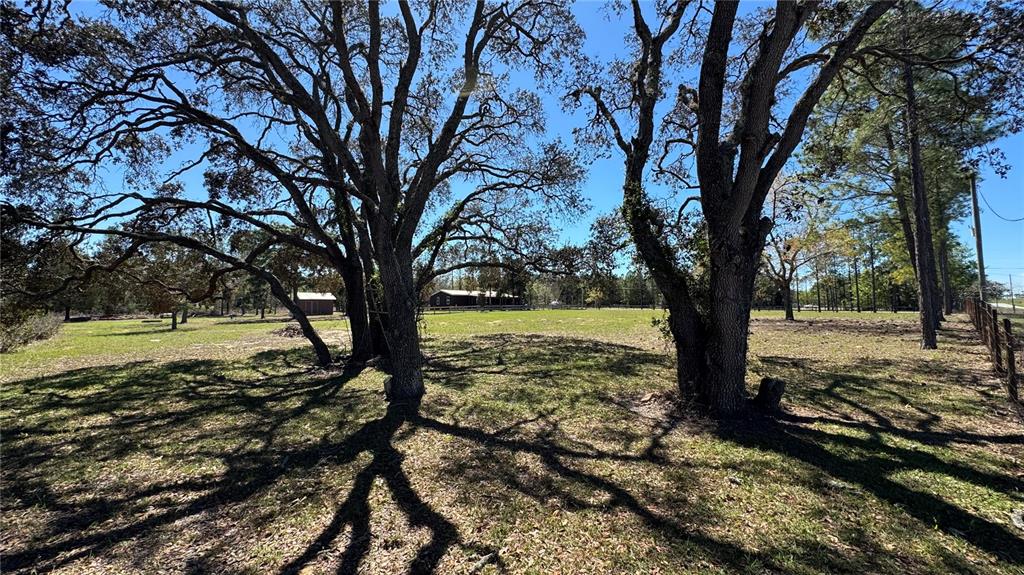 A grassy field with large oak trees and a distant building under a clear sky — 6845 S SUNNYVIEW POINT, HOMOSASSA, FL