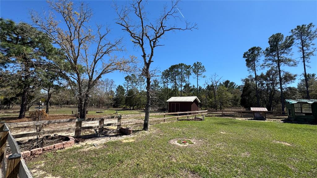 A grassy backyard features a wooden fence, a small shed, and several tall trees — 6845 S SUNNYVIEW POINT, HOMOSASSA, FL