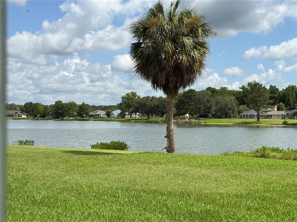 A palm tree stands on a grassy lawn overlooking a lake with houses in distance — 5 HICKORY LOOP, OCALA, FL