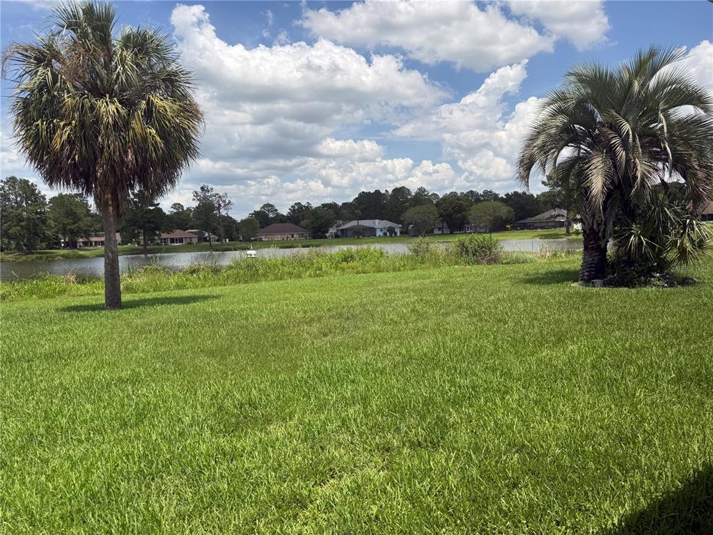 A grassy backyard features two palm trees overlooking a lake with houses in the distance — 5 HICKORY LOOP, OCALA, FL