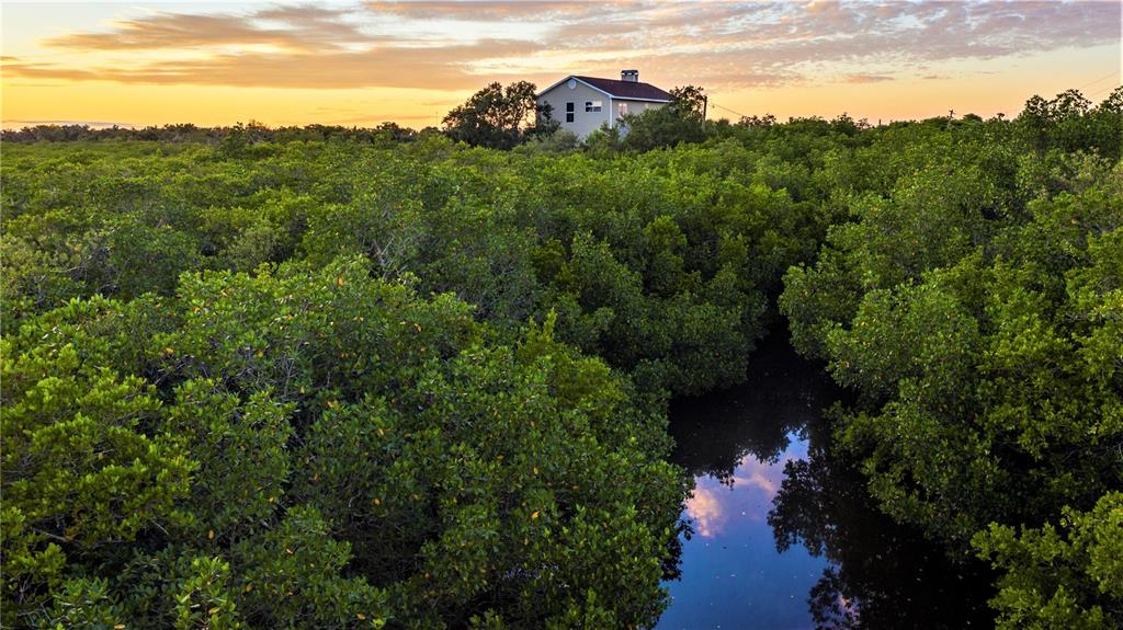 An aerial view shows a house surrounded by dense vegetation near a coastal bay — 7325 HOLLY ROAD, TERRA CEIA, FL