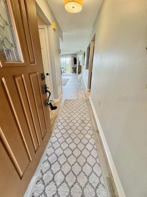 A hallway with a patterned runner rug leads from an open wooden front door — 5753 AVISTA DRIVE, SARASOTA, FL