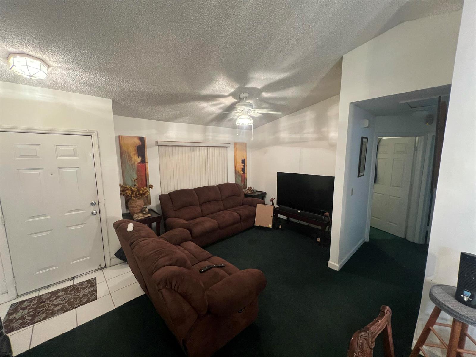 A living room features dark green carpeting, brown sofas, a television, and a ceiling fan — 1037 17th Street, West Palm Beach FL 33407, WEST PALM BEACH, FL