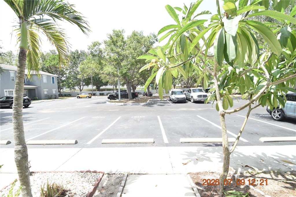 A parking lot with several parked cars is viewed from a landscaped area with trees — 13121 KINGS CROSSING DRIVE, GIBSONTON, FL