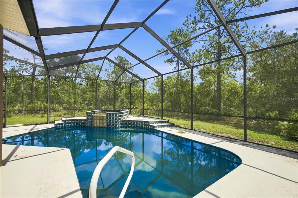A screened-in swimming pool and raised spa are surrounded by a wooded backyard — 4710 W MUSTANG BOULEVARD, BEVERLY HILLS, FL