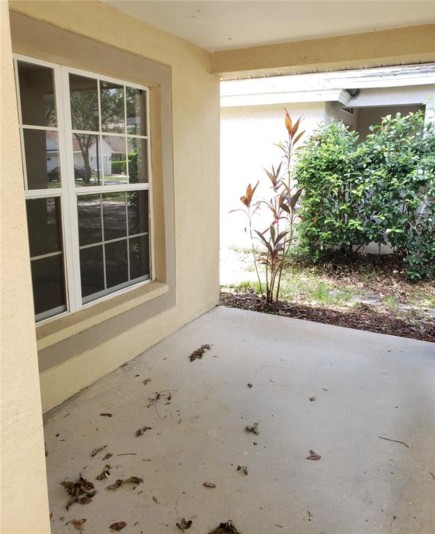 A concrete patio sits outside a window with white trim next to a small garden — 15114 DEER MEADOW DRIVE, LUTZ, FL