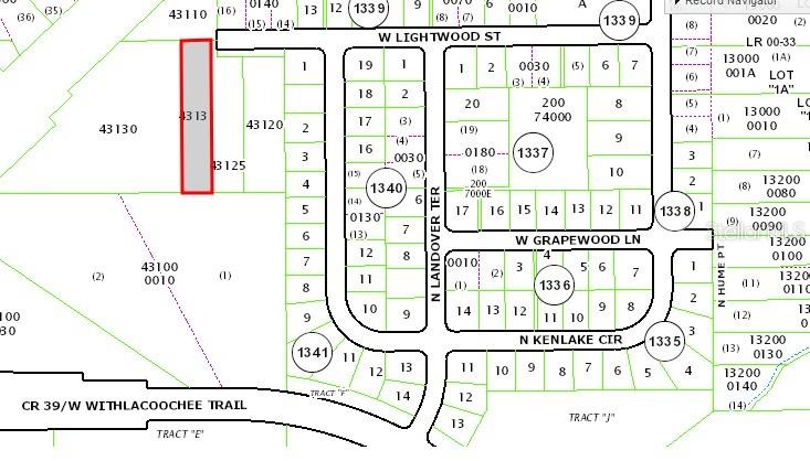 This is a tax map showing property lot lines and street names in a residential area — 796 W LIGHTWOOD ST, CITRUS SPRINGS, FL