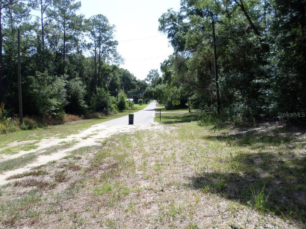 A dirt driveway leads to a paved road surrounded by trees and vegetation — 796 W LIGHTWOOD ST, CITRUS SPRINGS, FL