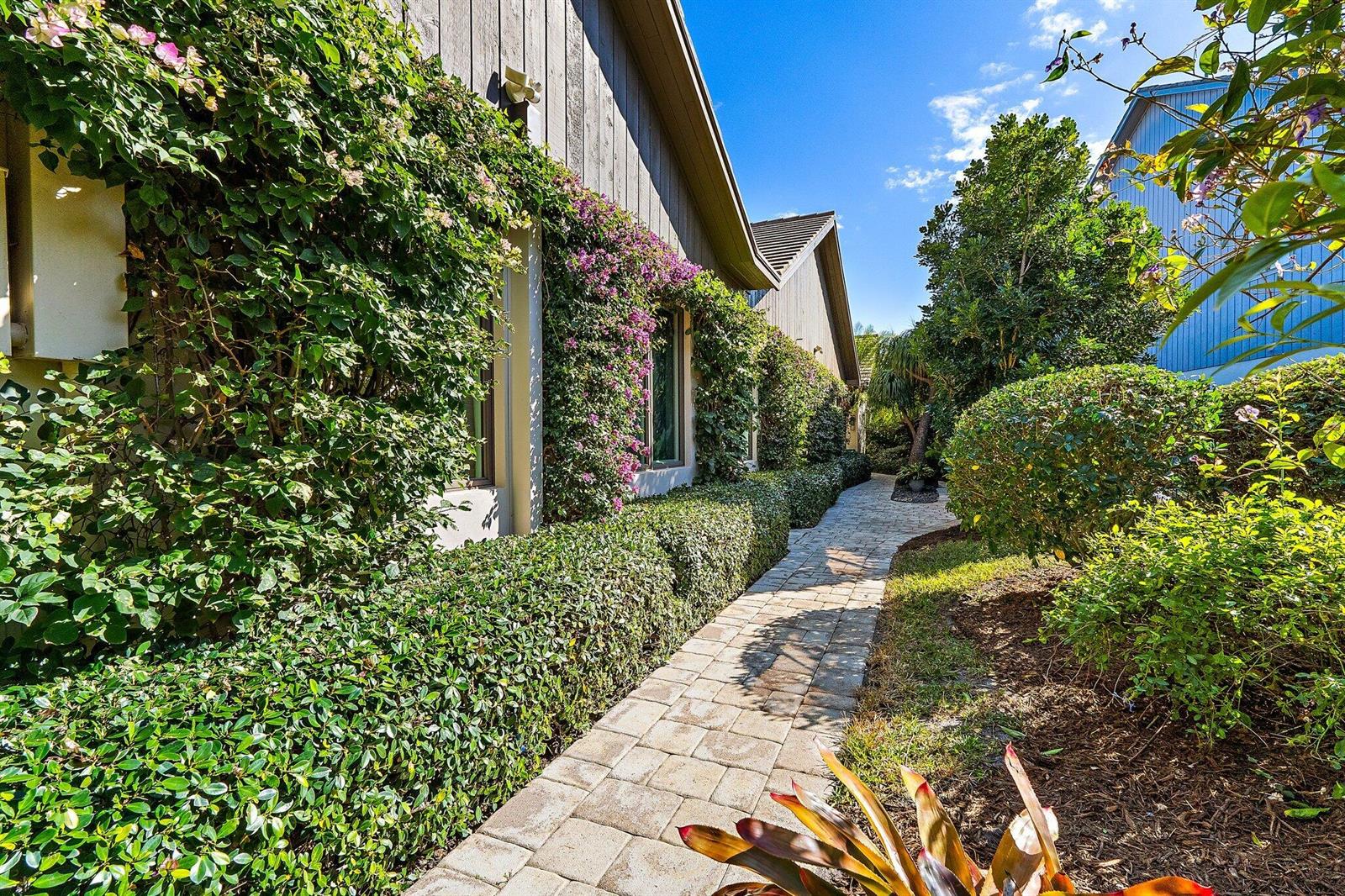 A stone paver walkway leads along a house exterior covered in climbing vines and hedges — 12092 SE Birkdale Run, Jupiter FL 33469, JUPITER, FL