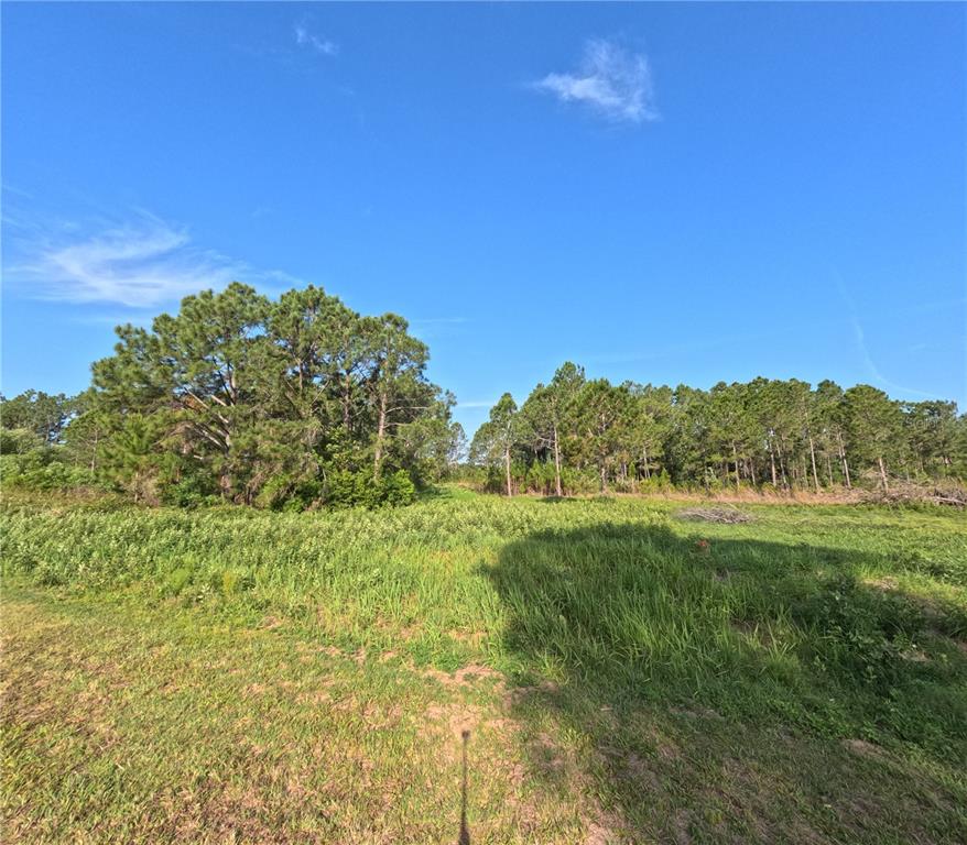 11031 ARROWTREE BOULEVARD, CLERMONT, FL — photo 3 of 30