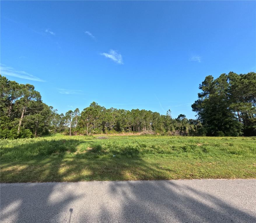 11031 ARROWTREE BOULEVARD, CLERMONT, FL — photo 4 of 30